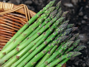 asparagus-photorack